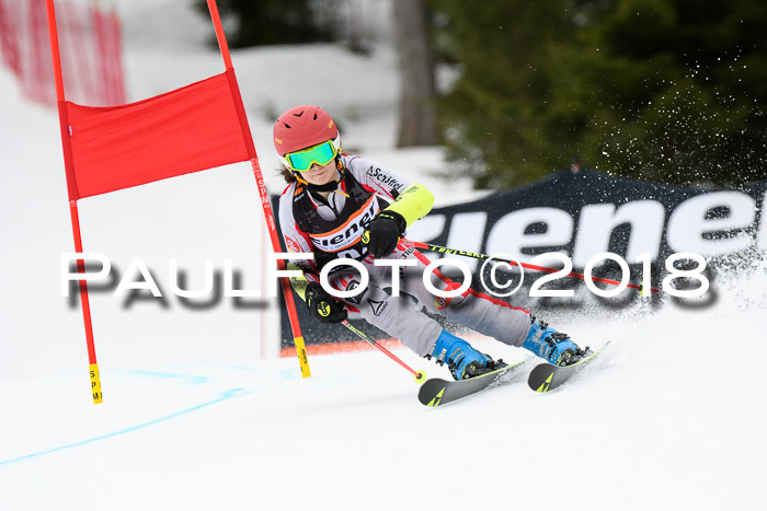 4. Ziener Cup 2018 RS ASV