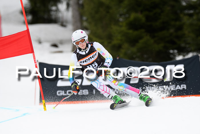 4. Ziener Cup 2018 RS ASV