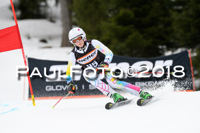 4. Ziener Cup 2018 RS ASV
