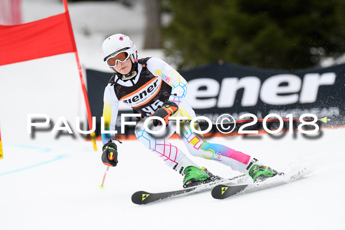 4. Ziener Cup 2018 RS ASV