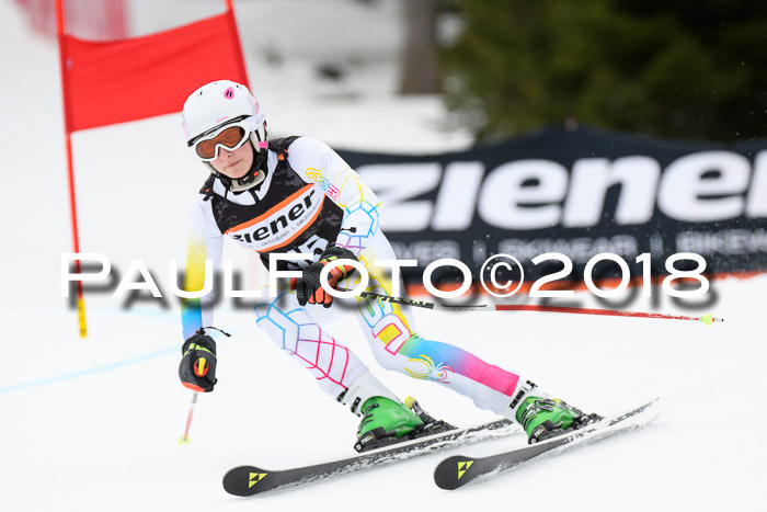 4. Ziener Cup 2018 RS ASV