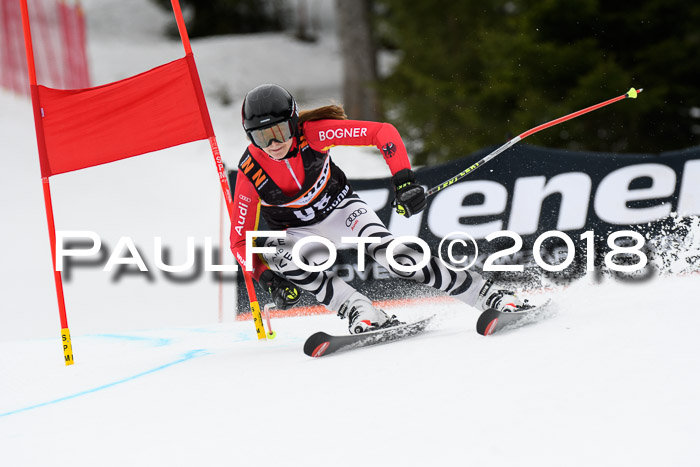 4. Ziener Cup 2018 RS ASV
