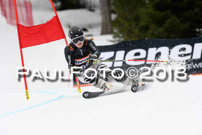 4. Ziener Cup 2018 RS ASV