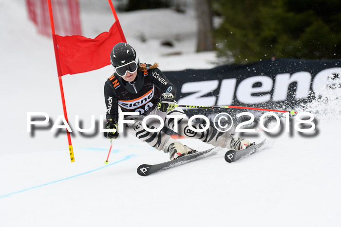 4. Ziener Cup 2018 RS ASV