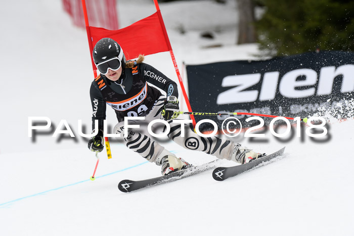 4. Ziener Cup 2018 RS ASV