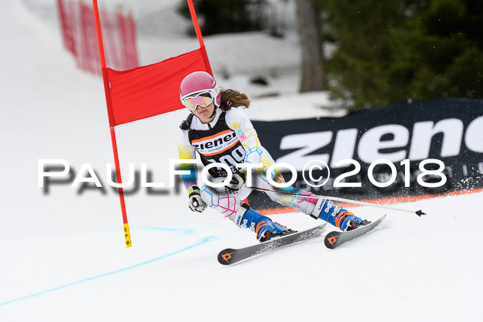 4. Ziener Cup 2018 RS ASV