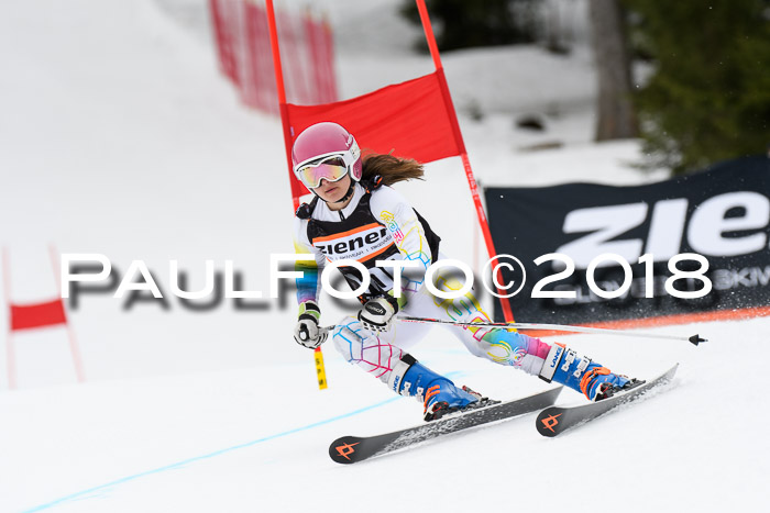 4. Ziener Cup 2018 RS ASV