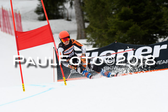 4. Ziener Cup 2018 RS ASV