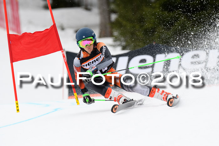 4. Ziener Cup 2018 RS ASV