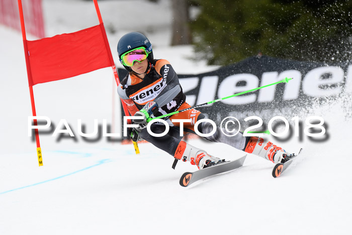 4. Ziener Cup 2018 RS ASV