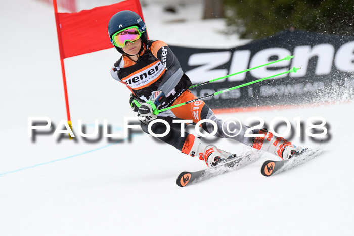 4. Ziener Cup 2018 RS ASV