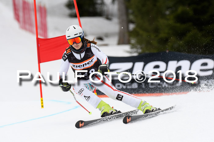 4. Ziener Cup 2018 RS ASV