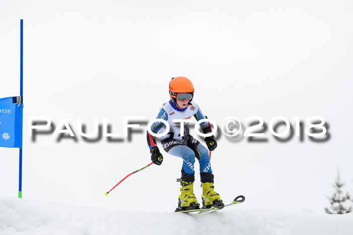 DSV Schülercup U12 Finale PSL, Team, Siegerehrungen, 12.03.2018