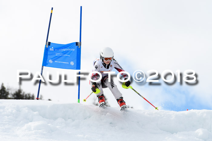 DSV Schülercup U12 Finale PSL, Team, Siegerehrungen, 12.03.2018