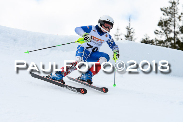 DSV Schülercup U12 Finale PSL, Team, Siegerehrungen, 12.03.2018