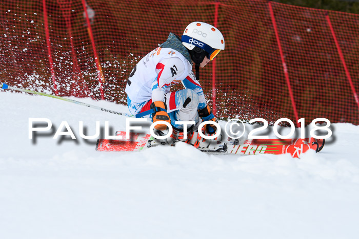 DSV Schülercup U12 Finale PSL, Team, Siegerehrungen, 12.03.2018