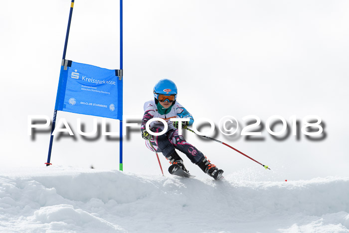 DSV Schülercup U12 Finale PSL, Team, Siegerehrungen, 12.03.2018