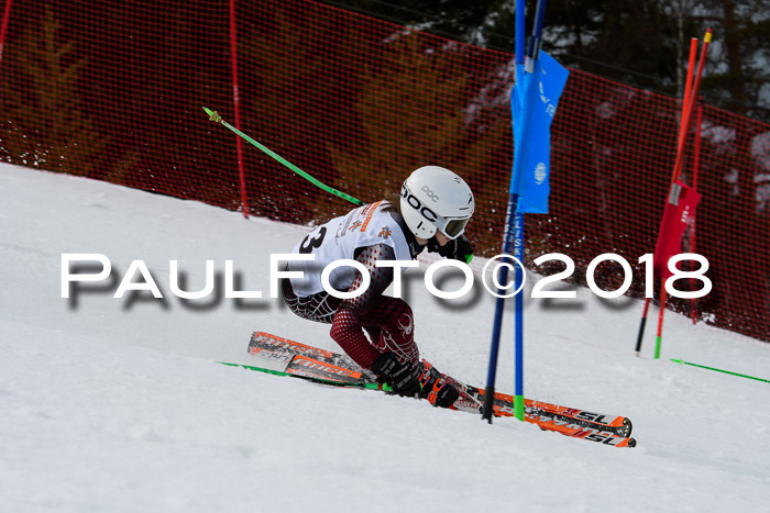 DSV Schülercup U12 Finale PSL, Team, Siegerehrungen, 12.03.2018