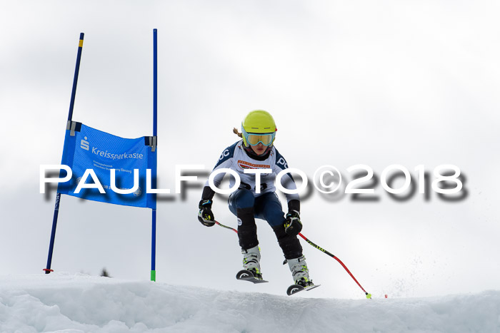 DSV Schülercup U12 Finale PSL, Team, Siegerehrungen, 12.03.2018