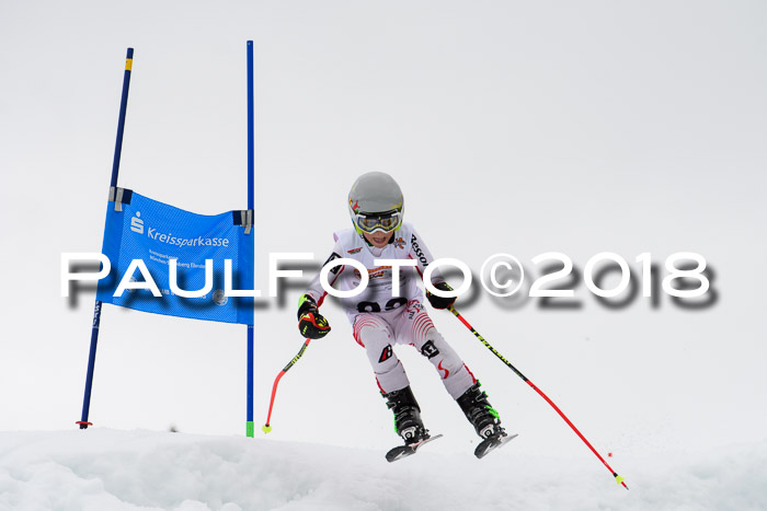 DSV Schülercup U12 Finale PSL, Team, Siegerehrungen, 12.03.2018