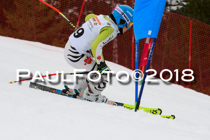DSV Schülercup U12 Finale PSL, Team, Siegerehrungen, 12.03.2018
