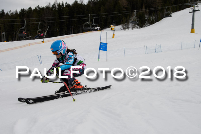 DSV Schülercup U12 Finale PSL, Team, Siegerehrungen, 12.03.2018