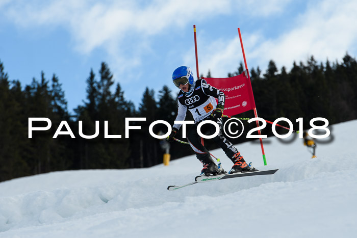 DSV Schülercup U12 Finale PSL, Team, Siegerehrungen, 12.03.2018