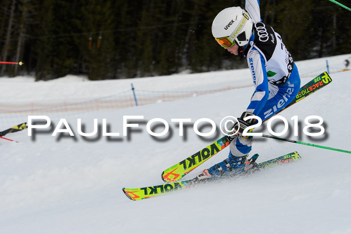 DSV Schülercup U12 Finale PSL, Team, Siegerehrungen, 12.03.2018