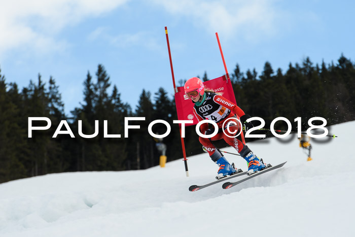 DSV Schülercup U12 Finale PSL, Team, Siegerehrungen, 12.03.2018