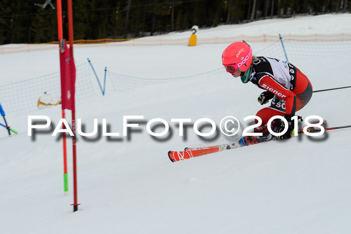 DSV Schülercup U12 Finale PSL, Team, Siegerehrungen, 12.03.2018