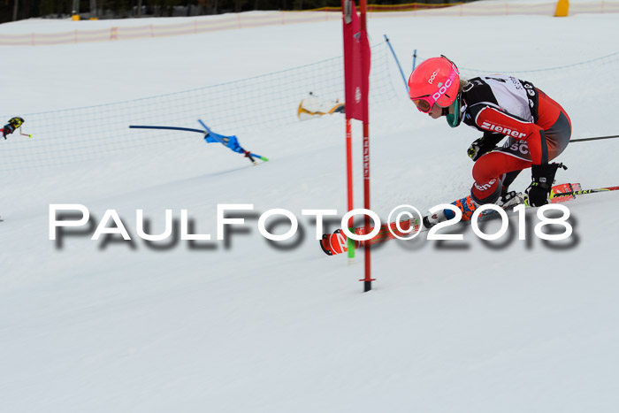 DSV Schülercup U12 Finale PSL, Team, Siegerehrungen, 12.03.2018
