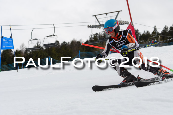 DSV Schülercup U12 Finale PSL, Team, Siegerehrungen, 12.03.2018