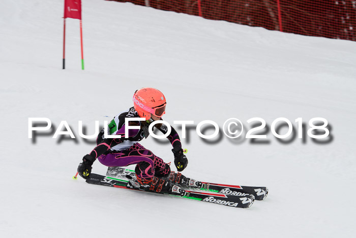 DSV Schülercup U12 Finale PSL, Team, Siegerehrungen, 12.03.2018