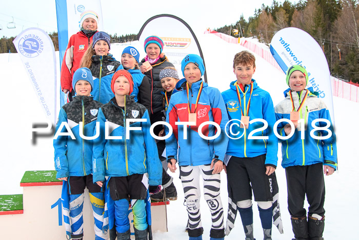 DSV Schülercup U12 Finale PSL, Team, Siegerehrungen, 12.03.2018
