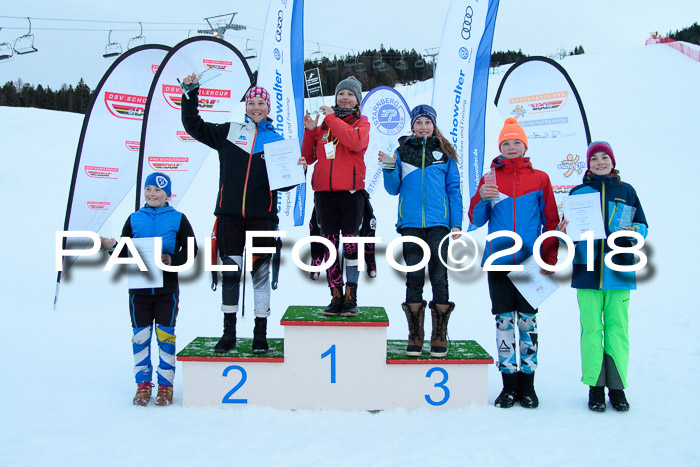 DSV Schülercup U12 Finale PSL, Team, Siegerehrungen, 12.03.2018