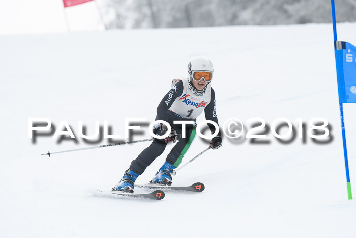 20. SVM Regionalcup-Finale 2018, Kinder, Schüler, Jugend, Erwachsene + Siegerehrungen, 18.03.2018