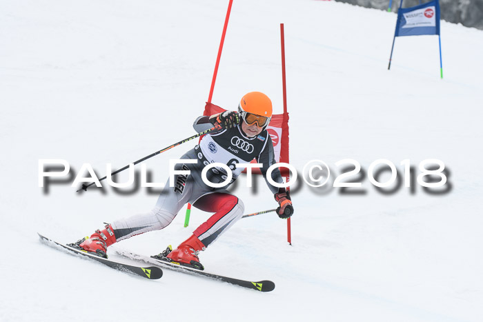 20. SVM Regionalcup-Finale 2018, Kinder, Schüler, Jugend, Erwachsene + Siegerehrungen, 18.03.2018