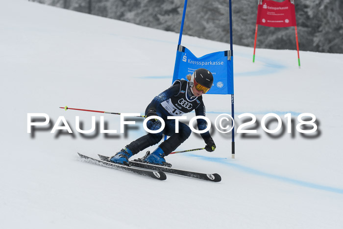 20. SVM Regionalcup-Finale 2018, Kinder, Schüler, Jugend, Erwachsene + Siegerehrungen, 18.03.2018