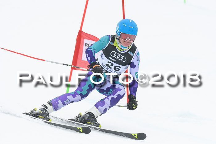 20. SVM Regionalcup-Finale 2018, Kinder, Schüler, Jugend, Erwachsene + Siegerehrungen, 18.03.2018