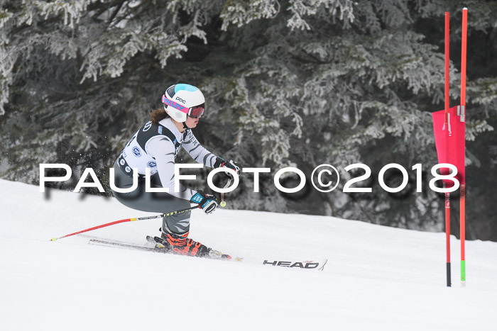 20. SVM Regionalcup-Finale 2018, Kinder, Schüler, Jugend, Erwachsene + Siegerehrungen, 18.03.2018