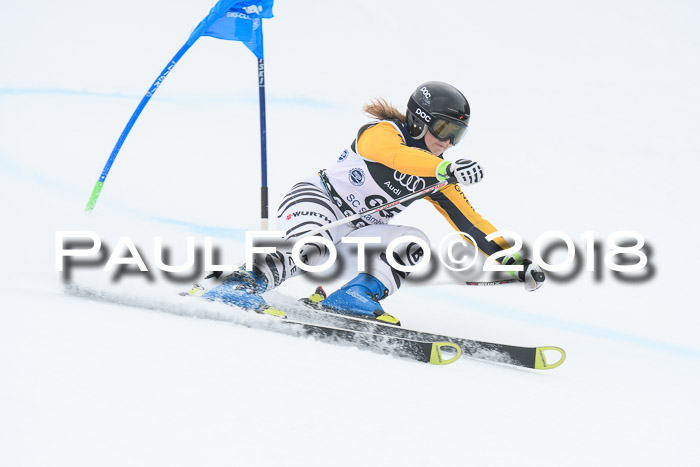 20. SVM Regionalcup-Finale 2018, Kinder, Schüler, Jugend, Erwachsene + Siegerehrungen, 18.03.2018