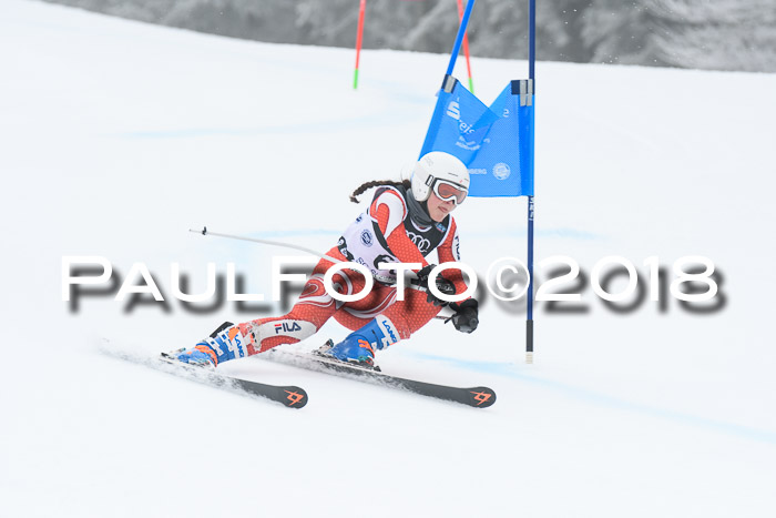 20. SVM Regionalcup-Finale 2018, Kinder, Schüler, Jugend, Erwachsene + Siegerehrungen, 18.03.2018