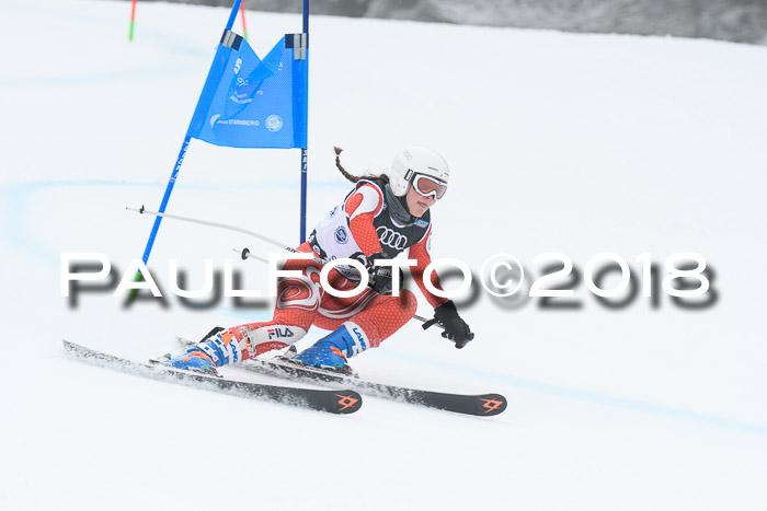 20. SVM Regionalcup-Finale 2018, Kinder, Schüler, Jugend, Erwachsene + Siegerehrungen, 18.03.2018