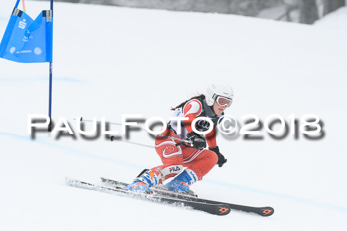 20. SVM Regionalcup-Finale 2018, Kinder, Schüler, Jugend, Erwachsene + Siegerehrungen, 18.03.2018