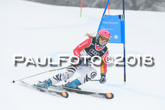20. SVM Regionalcup-Finale 2018, Kinder, Schüler, Jugend, Erwachsene + Siegerehrungen, 18.03.2018