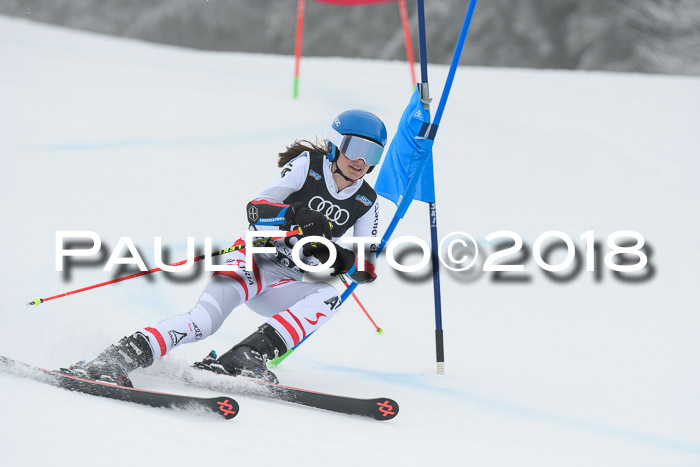 20. SVM Regionalcup-Finale 2018, Kinder, Schüler, Jugend, Erwachsene + Siegerehrungen, 18.03.2018