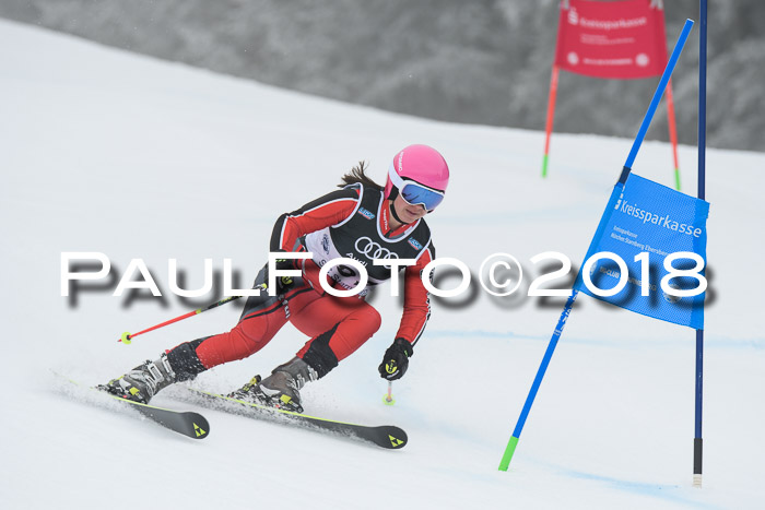 20. SVM Regionalcup-Finale 2018, Kinder, Schüler, Jugend, Erwachsene + Siegerehrungen, 18.03.2018
