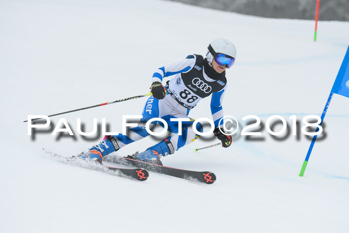 20. SVM Regionalcup-Finale 2018, Kinder, Schüler, Jugend, Erwachsene + Siegerehrungen, 18.03.2018