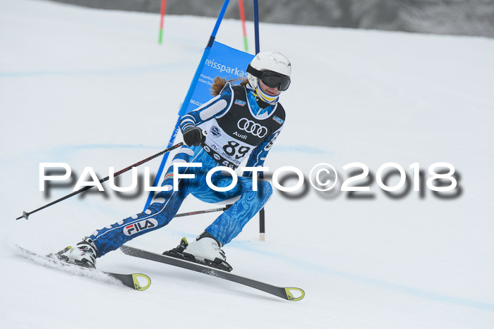 20. SVM Regionalcup-Finale 2018, Kinder, Schüler, Jugend, Erwachsene + Siegerehrungen, 18.03.2018