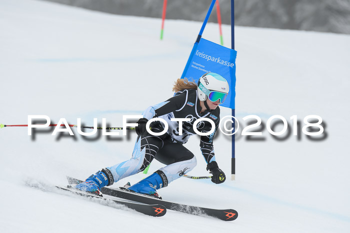 20. SVM Regionalcup-Finale 2018, Kinder, Schüler, Jugend, Erwachsene + Siegerehrungen, 18.03.2018